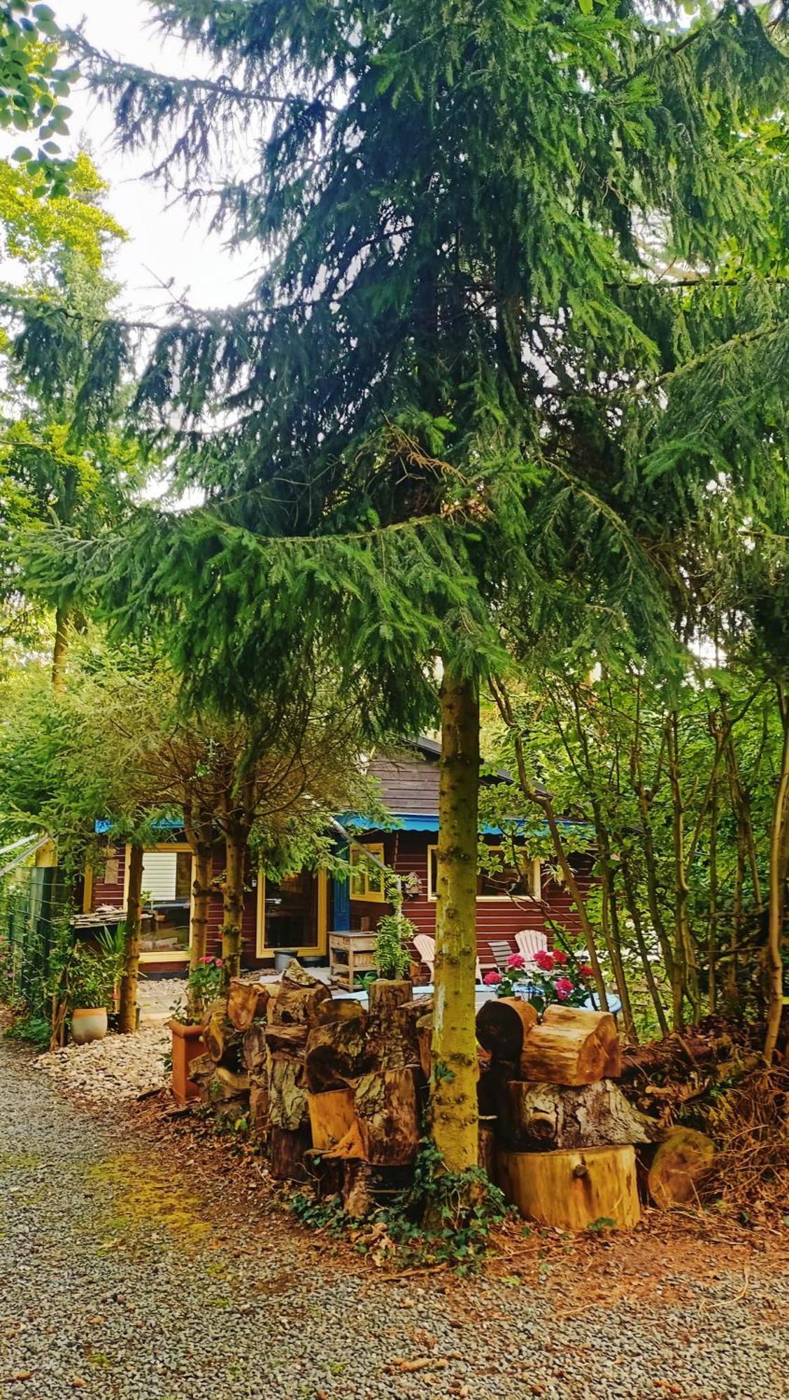 Het Houten Boshuisje Hattemerbroek Экстерьер фото